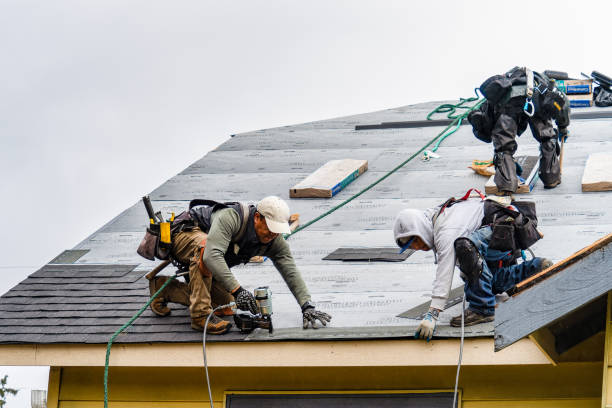 Professional Flat Roof Repair technician working in Bainbridge, NY